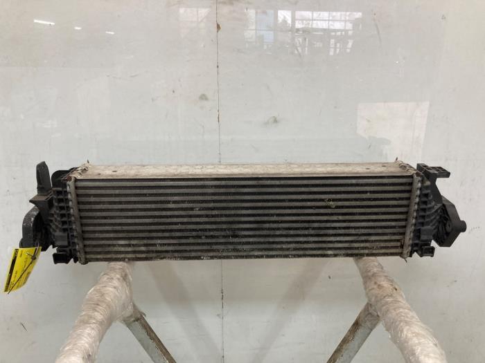 Usagé Intercooler Volvo S60 III (ZS) 2.0 T4 16V Prix € 225,00 Règlement à la marge proposé par Snuverink Autodemontage