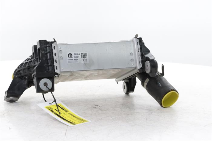Usados Intercooler Alfa Romeo Tonale 1.5 VGT Hybrid Precio € 160,00 Norma de margen ofrecido por Snuverink Autodemontage