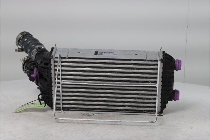 Usagé Intercooler Opel Corsa F (UB/UH/UP) 1.2 Turbo 12V 110 Hybrid Prix € 60,00 Règlement à la marge proposé par Snuverink Autodemontage