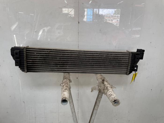 Usagé Intercooler Renault Master III (MA/MB/MC/MD/MH/MF/MG/MH) 2.3 dCi 135 16V FWD Prix sur demande proposé par Snuverink Autodemontage