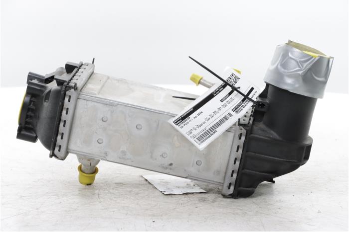 Intercooler d'un Volkswagen Polo VI (AW1) 1.0 TSI 12V 2024