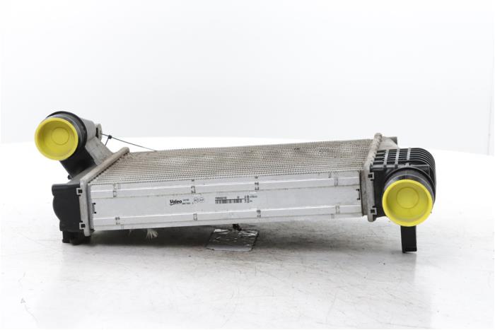 Usados Intercooler Opel Vivaro 2.0 Diesel 145 Precio € 163,35 IVA incluido ofrecido por Snuverink Autodemontage