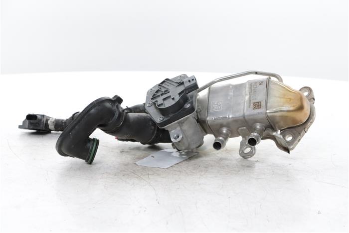 Gebrauchte AGR Ventil Dacia Duster (DJF) 1.2 TCE 130 12V Mild Hybrid 4x2 Preis € 125,00 Margenregelung angeboten von Snuverink Autodemontage