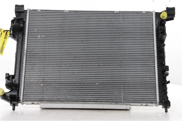 Used Radiator Renault 4 E-Tech Electric 52 kWh Price € 425,00 Margin scheme offered by Snuverink Autodemontage