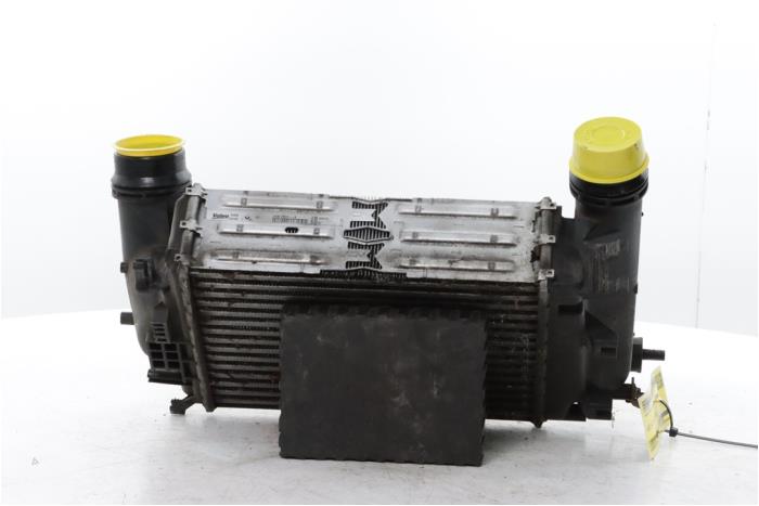 Usagé Intercooler Renault Espace (RFCJ) 1.6 Tce 200 Prix sur demande proposé par Snuverink Autodemontage