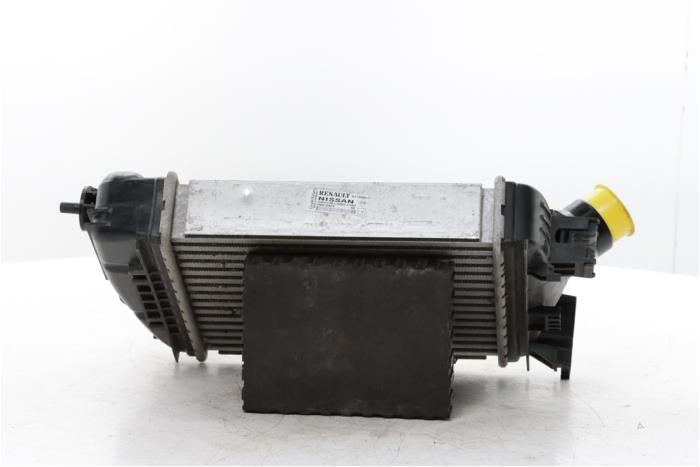 Usados Intercooler Renault Clio V (RJAB) 1.0 TCe 90 12V Precio € 95,00 Norma de margen ofrecido por Snuverink Autodemontage