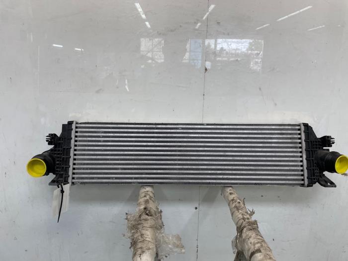 Usados Intercooler Ford Focus 4 1.0 EcoBoost 12V Hybrid 125 Precio de solicitud ofrecido por Snuverink Autodemontage