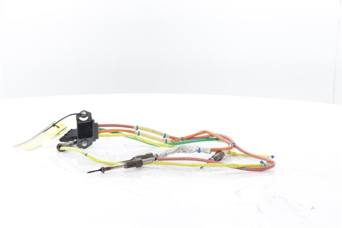 Gebrauchte Auspuff Temperatursensor Renault Scénic IV (RFAJ) 1.7 Blue dCi 120 Preis € 100,00 Margenregelung angeboten von Snuverink Autodemontage
