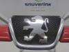 Grille from a Peugeot 206 (2A/C/H/J/S) 1.9 D 1999