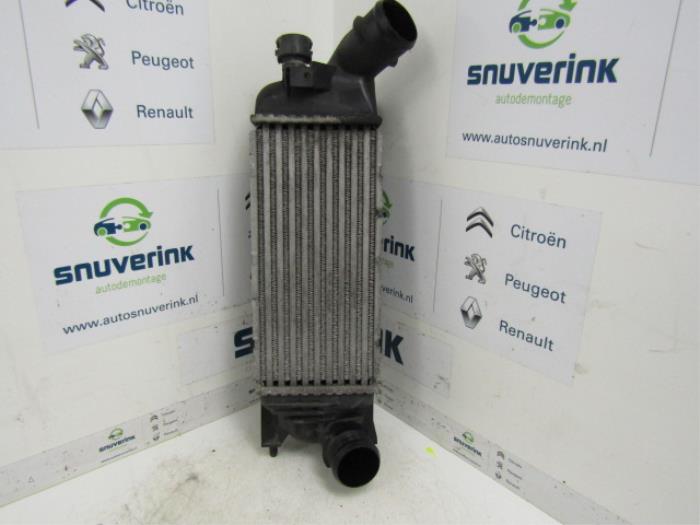 Usagé Intercooler Peugeot 407 (6D) 2.0 HDiF 16V Prix € 33,98 Règlement à la marge proposé par Snuverink Autodemontage