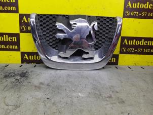Used Grille Peugeot 207 Price € 50,00 Margin scheme offered by de Nollen autorecycling