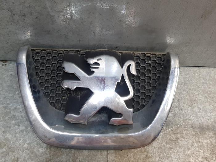 Używane Grill Peugeot 207 Cena € 26,62 Z VAT oferowane przez autodemontage denollen