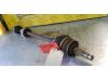 Front drive shaft, right from a Fiat 500 (312), 2007 1.2 69, Hatchback, Petrol, 1.242cc, 51kW (69pk), FWD, 169A4000, 2007-07, 312AXA 2013