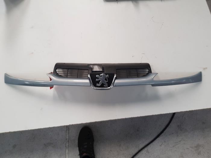 Używane Grill Peugeot 206 Cena € 27,00 Procedura marży oferowane przez autodemontage denollen