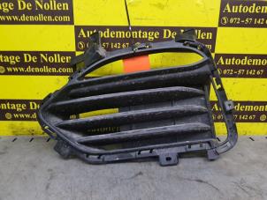 Used Grille Hyundai i30 (PDEB5/PDEBB/PDEBD/PDEBE) 2.0 N Turbo 16V Performance Pack Price € 60,50 Inclusive VAT offered by de Nollen autorecycling