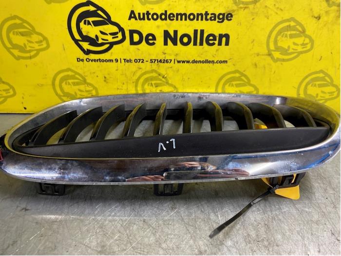 Bumper grille from a BMW 2 serie Active Tourer (F45) 218i 1.5 TwinPower Turbo 12V 2017
