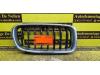 BMW 3 serie Touring (F31) 318d 2.0 16V Grill