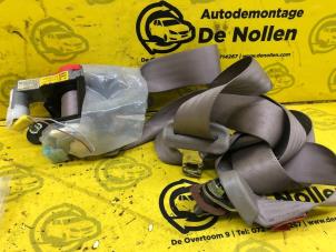 Used Front seatbelt, right Mazda Demio (DW) 1.3 16V Price € 40,00 Margin scheme offered by de Nollen autorecycling