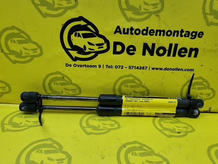 Set of tailgate gas struts from a Peugeot 407 SW (6E) 2.0 16V 2005
