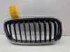 Grille from a BMW 2 serie Active Tourer (F45), 2013 / 2021 218i 1.5 TwinPower Turbo 12V, MPV, Petrol, 1.499cc, 100kW (136pk), FWD, B38A15A, 2014-07 / 2021-10, 2A31; 2A32; 6S11; 6S12 2016