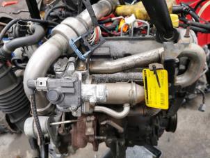 Usagé Moteur Renault Kangoo Express (FW) 1.5 dCi 85 Prix € 450,00 Règlement à la marge proposé par de Nollen autorecycling