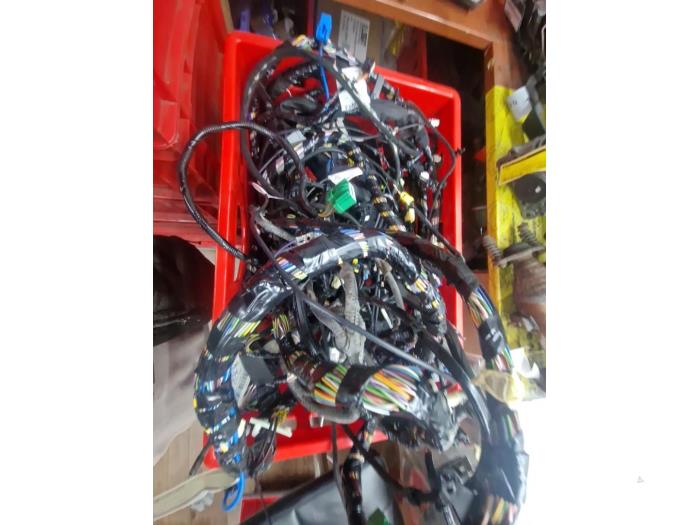 Begagnade Kablage Ford EcoSport (JK8) 1.0 EcoBoost 12V 125 Pris € 320,00 Marginaltabell erbjuds av autodemontage denollen