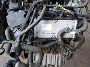 Usagé Moteur Seat Leon (1P1) 1.4 TSI 16V Prix € 1.550,00 Règlement à la marge proposé par de Nollen autorecycling