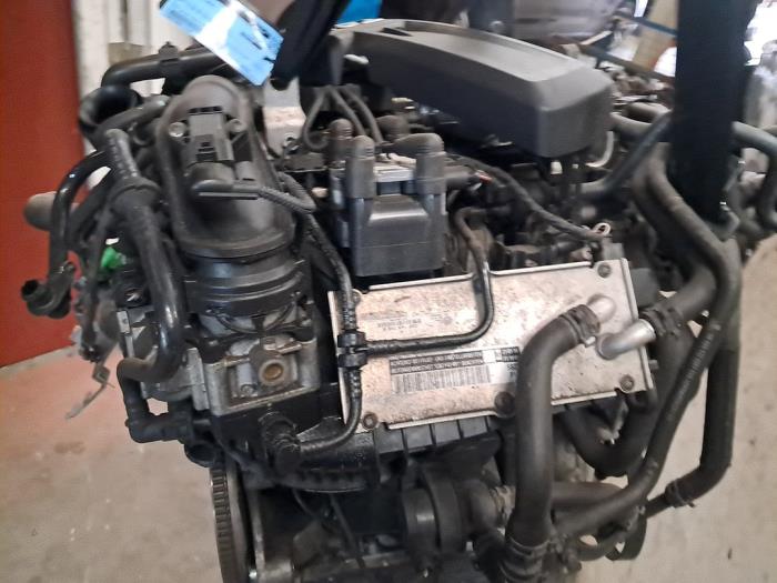 Gebrauchte Motor Seat Ibiza ST (6J8) 1.2 TSI Preis € 1.150,00 Margenregelung angeboten von autodemontage denollen