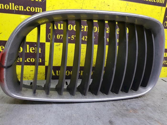 Używane Grill BMW 1 serie (E87/87N) 116i 1.6 16V Cena € 26,62 Z VAT oferowane przez autodemontage denollen