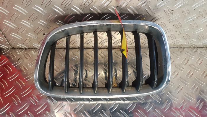 Begagnade Grill BMW 1 serie (E81) 116d 16V Pris € 32,00 Marginaltabell erbjuds av autodemontage denollen