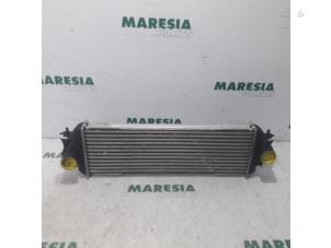 Used Intercooler Renault Trafic New (FL) 1.9 dCi 100 16V Price € 25,00 Margin scheme offered by Maresia Parts