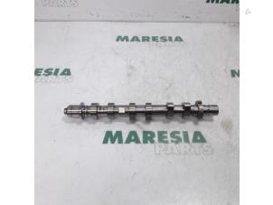 Used Camshaft Renault Twingo III (AH) 1.0 SCe 70 12V Price € 105,00 Margin scheme offered by Maresia Parts