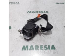 Używane Pas bezpieczenstwa prawy tyl Alfa Romeo 156 Sportwagon (932) 1.9 JTD 16V Cena € 25,00 Procedura marży oferowane przez Maresia Parts