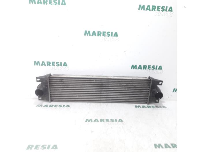 Usagé Intercooler Renault Master II (FD/HD) 2.2 dCi 16V Prix € 47,19 Prix TTC proposé par Maresia Parts