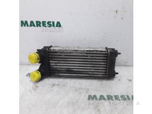 Gebrauchte Ladeluftkühler Citroen C4 Picasso (UD/UE/UF) 1.6 HDiF 16V 110 Preis € 20,00 Margenregelung angeboten von Maresia Parts