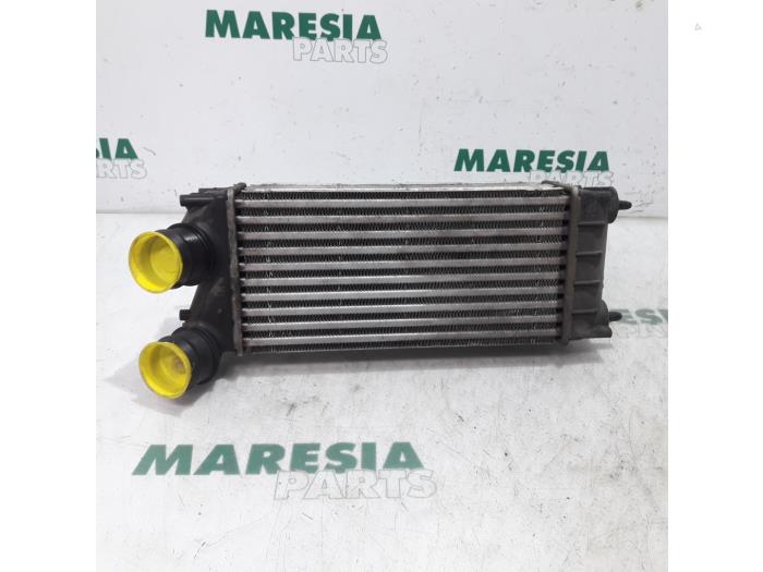 Usados Intercooler Citroen Berlingo 1.6 Hdi 75 Precio € 29,04 IVA incluido ofrecido por Maresia Parts