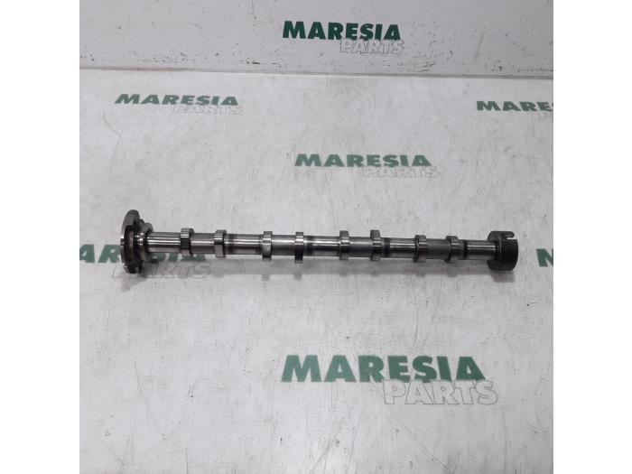Usagé Arbre à cames Citroen Jumper (U9) 2.2 HDi 120 Prix € 190,58 Prix TTC proposé par Maresia Parts