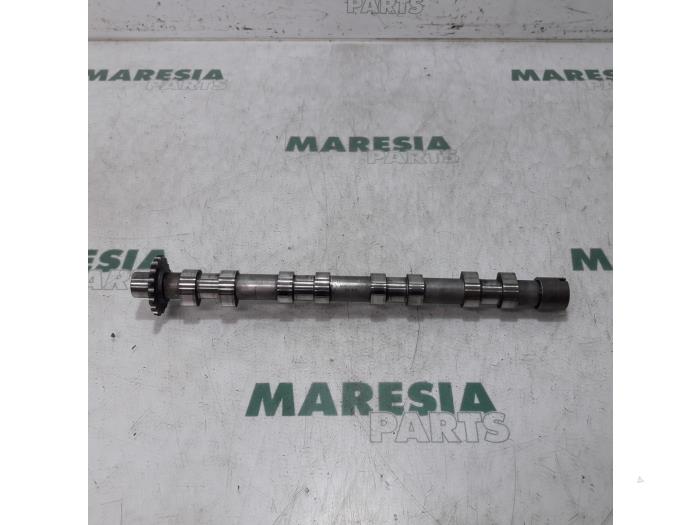Usagé Arbre à cames Fiat Scudo (270) 2.0 D Multijet Prix € 90,75 Prix TTC proposé par Maresia Parts