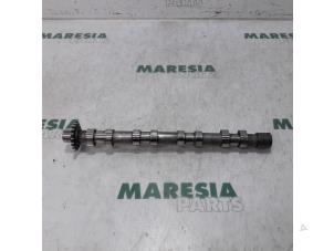 Used Camshaft Fiat Scudo (270) 2.0 D Multijet Price € 127,05 Inclusive VAT offered by Maresia Parts