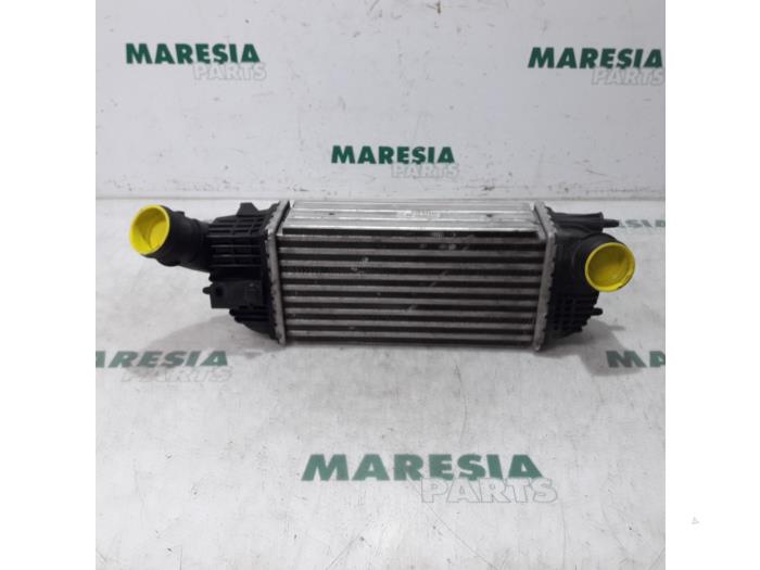 Used Intercooler Citroen C5 III Tourer (RW) 2.0 HDiF 16V Price € 50,00 Margin scheme offered by Maresia Parts