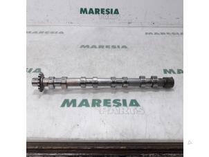 Used Camshaft Citroen Jumpy (G9) 2.0 HDI 120 16V Price € 127,05 Inclusive VAT offered by Maresia Parts
