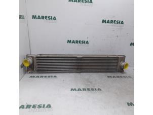 Used Intercooler Fiat Ducato (250) 2.0 D 115 Multijet Price € 54,45 Inclusive VAT offered by Maresia Parts