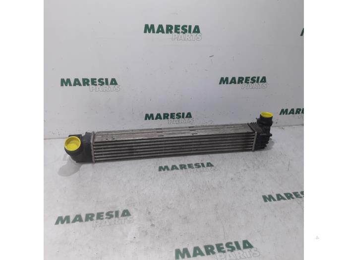 Usados Intercooler Renault Scénic III (JZ) 1.5 dCi 105 Precio € 30,00 Norma de margen ofrecido por Maresia Parts