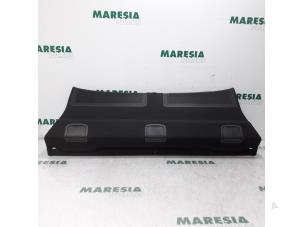 Używane Pólka tylna Citroen C5 III Berline (RD) 2.0 HDiF 16V Cena € 40,00 Procedura marży oferowane przez Maresia Parts