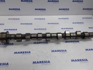 Used Camshaft Peugeot Boxer (244) 2.8 HDi 127 Price € 158,81 Inclusive VAT offered by Maresia Parts