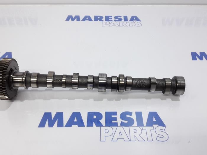 Usagé Arbre à cames Citroen Nemo Prix € 70,00 Règlement à la marge proposé par Maresia Parts