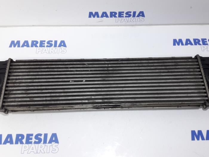 Usagé Intercooler Renault Master II (FD/HD) 2.5 dCi 16V Prix € 47,19 Prix TTC proposé par Maresia Parts