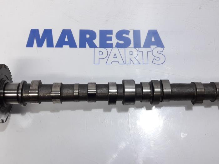 Usagé Arbre à cames Fiat Doblo Prix € 105,00 Règlement à la marge proposé par Maresia Parts