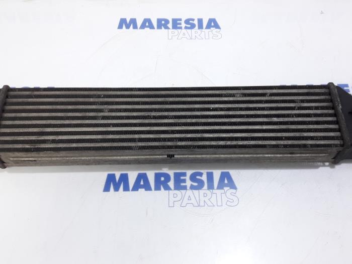 Intercooler d'un Fiat Doblo Cargo (263) 1.3 MJ 16V DPF Euro 5 2012