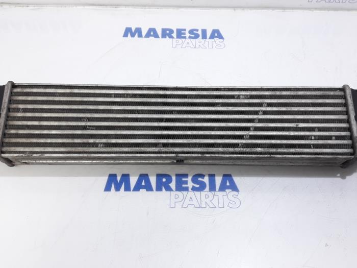 Usados Intercooler Fiat Doblo Cargo (263) 1.3 MJ 16V DPF Euro 5 Precio € 42,35 IVA incluido ofrecido por Maresia Parts